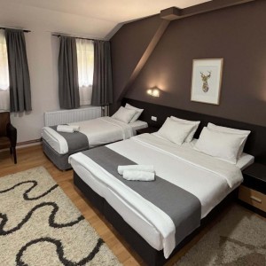 Hotel Junior 3*-Брзече,Копаоник