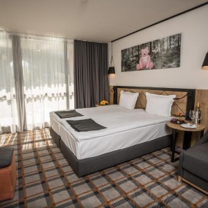 HOTEL RILA 4*
