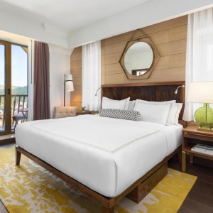 Hotel Viceroy 5*-Копаоник