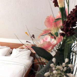 APARTHOTEL KOPAONIK-BRZECE
