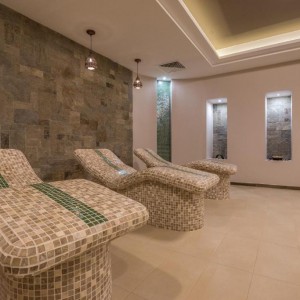 LION 4*