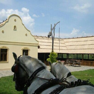 Бисерите на Војводина Мајкин и Цветен Салаш Нови Сад и Сремски Карловци 