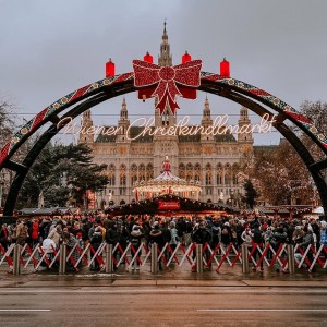 Братислава-Будимпешта  - Виена 