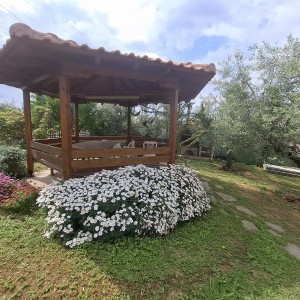 Вила Декавил - Геракини