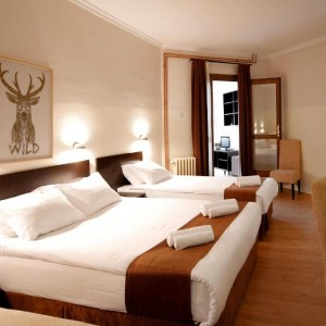 Hotel Junior 3*-Брзече,Копаоник