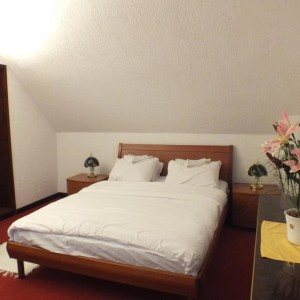APARTHOTEL KOPAONIK-BRZECE